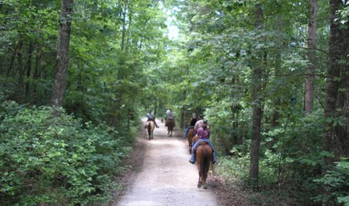 Shady Grove Dude Ranch